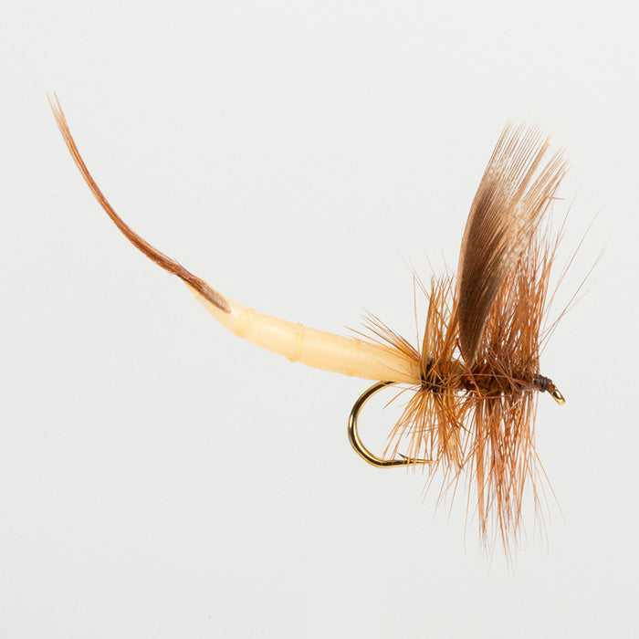Turrall Brown Drake Detached Mayfly